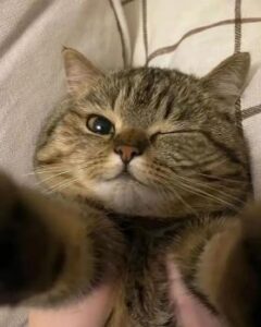 2024-05-22-07-09-30-1716361770791