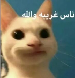 2024-05-22-10-17-59-1716373079172