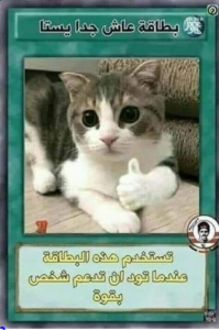 2024-05-22-10-51-05-1716375065543