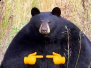 2025-07-26-01-52-20-1753494740895