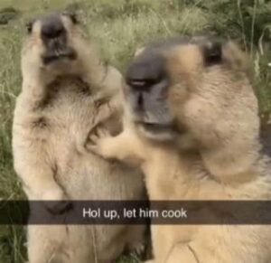 2025-07-28-11-55-54-1753746954244