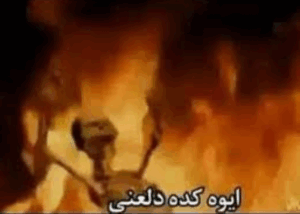 2025-09-03-12-46-20-1756903580292