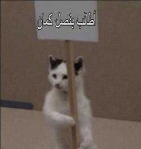 2025-09-13-10-54-49-1757760889210