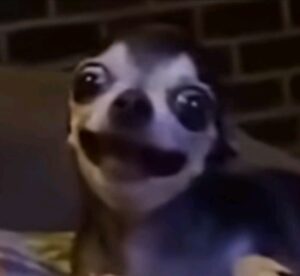 2025-09-18-09-31-21-1758231081764