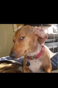 2025-09-20-08-20-37-1758399637501