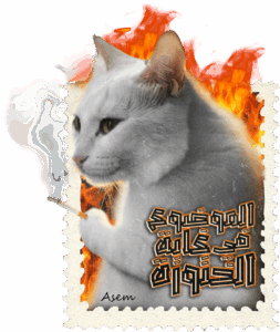 2025-10-27-09-19-36-1761599976628