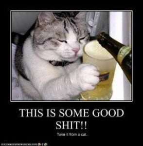 2025-11-02-01-32-08-1762090328674