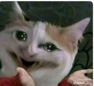 2025-11-04-10-17-10-1762294630330