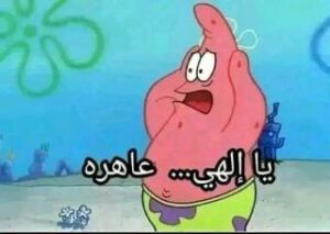 2025-12-01-10-53-55-1764586435884