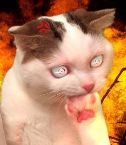 2025-12-03-06-03-20-1764785000409